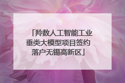羚数人工智能工业垂类大模型项目签约落户无锡高新区