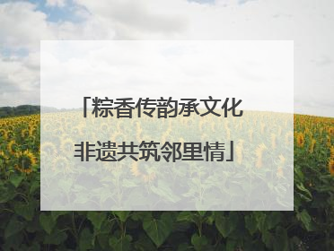 粽香传韵承文化 非遗共筑邻里情