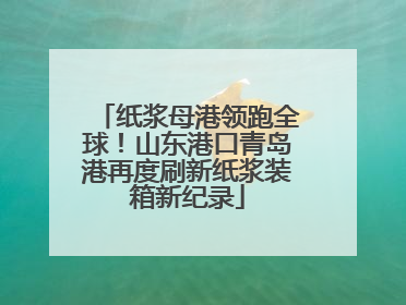 纸浆母港领跑全球！山东港口青岛港再度刷新纸浆装箱新纪录