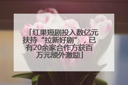红果短剧投入数亿元扶持“拉新好剧”，已有20余家合作方获百万元额外激励