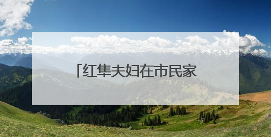 红隼夫妇在市民家阳台孵蛋多日未归，市民将蛋送往红山动物园“抢救”