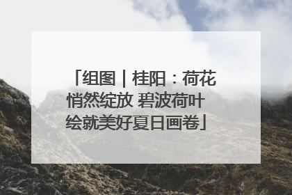 组图｜桂阳：荷花悄然绽放 碧波荷叶绘就美好夏日画卷