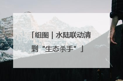 组图｜水陆联动清剿“生态杀手”