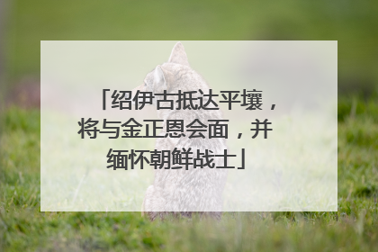 绍伊古抵达平壤，将与金正恩会面，并缅怀朝鲜战士
