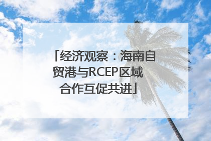 经济观察：海南自贸港与RCEP区域合作互促共进
