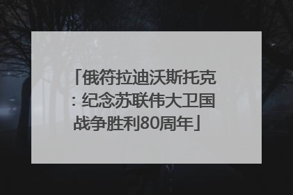 俄符拉迪沃斯托克：纪念苏联伟大卫国战争胜利80周年