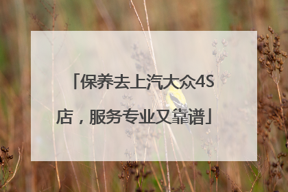 保养去上汽大众4S店，服务专业又靠谱