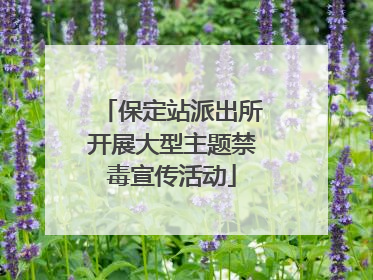 保定站派出所开展大型主题禁毒宣传活动