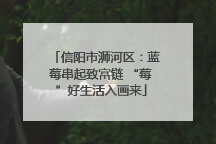 信阳市浉河区：蓝莓串起致富链 “莓”好生活入画来