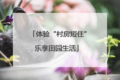 体验“村房短住” 乐享田园生活