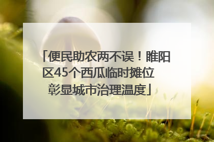 便民助农两不误！睢阳区45个西瓜临时摊位 彰显城市治理温度