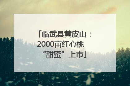 临武县黄皮山：2000亩红心桃“甜蜜”上市