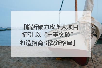 临沂聚力攻坚大项目招引 以“三重突破”打造招商引资新格局