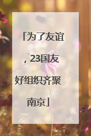 为了友谊，23国友好组织齐聚南京
