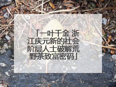 一叶千金 浙江庆元新的社会阶层人士破解荒野茶致富密码
