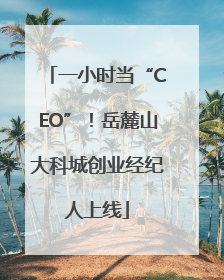 一小时当“CEO”！岳麓山大科城创业经纪人上线