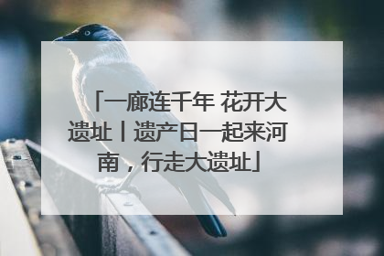 一廊连千年 花开大遗址丨遗产日一起来河南，行走大遗址
