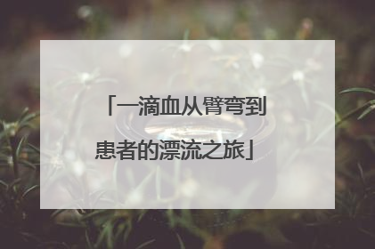 一滴血从臂弯到患者的漂流之旅