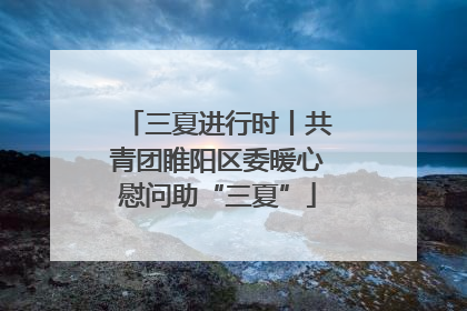 三夏进行时丨共青团睢阳区委暖心慰问助“三夏”