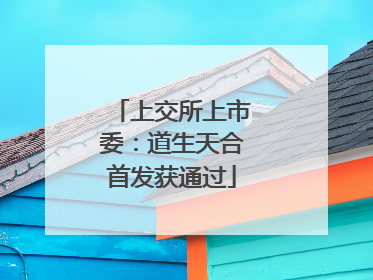 上交所上市委：道生天合首发获通过