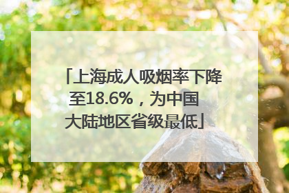 上海成人吸烟率下降至18.6%，为中国大陆地区省级最低