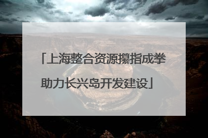 上海整合资源攥指成拳助力长兴岛开发建设