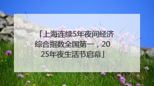 上海连续5年夜间经济综合指数全国第一，2025年夜生活节启幕