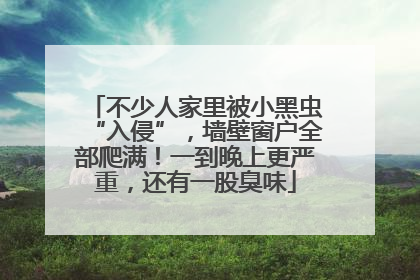 不少人家里被小黑虫“入侵”，墙壁窗户全部爬满！一到晚上更严重，还有一股臭味