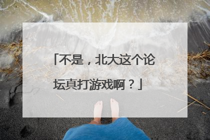 不是，北大这个论坛真打游戏啊？