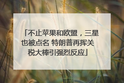 不止苹果和欧盟，三星也被点名 特朗普再挥关税大棒引强烈反应