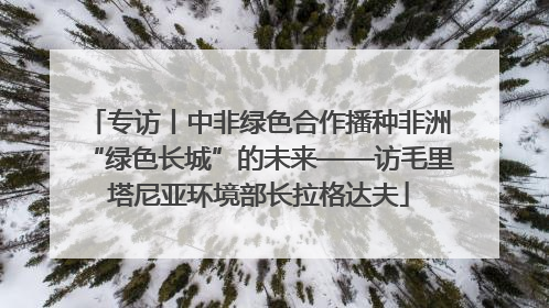 专访丨中非绿色合作播种非洲“绿色长城”的未来——访毛里塔尼亚环境部长拉格达夫