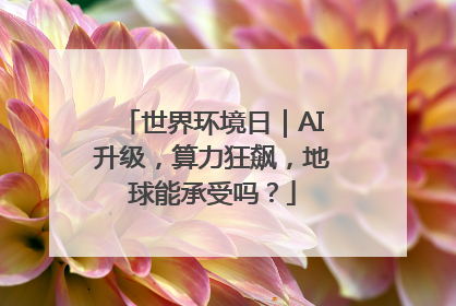 世界环境日｜AI升级，算力狂飙，地球能承受吗？