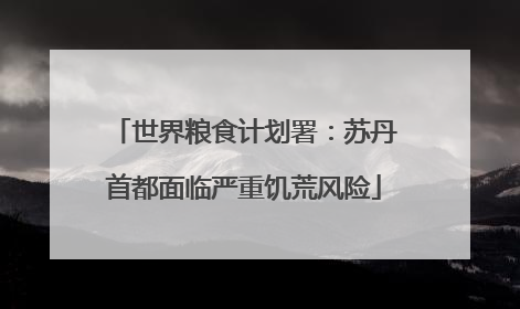 世界粮食计划署：苏丹首都面临严重饥荒风险