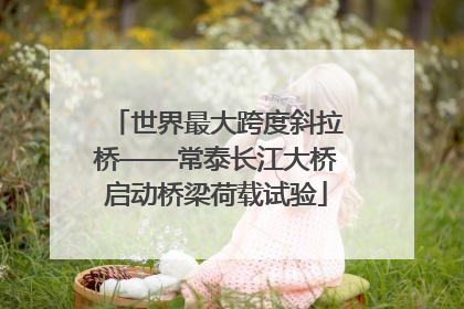 世界最大跨度斜拉桥——常泰长江大桥启动桥梁荷载试验