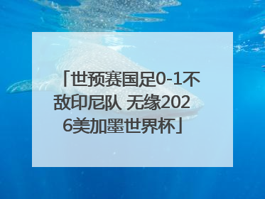 世预赛国足0-1不敌印尼队 无缘2026美加墨世界杯