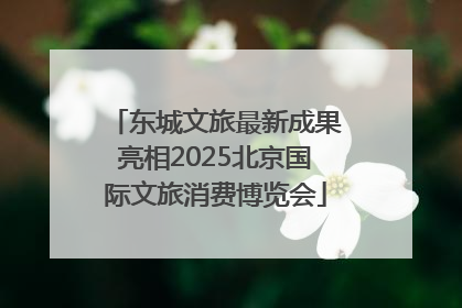 东城文旅最新成果亮相2025北京国际文旅消费博览会