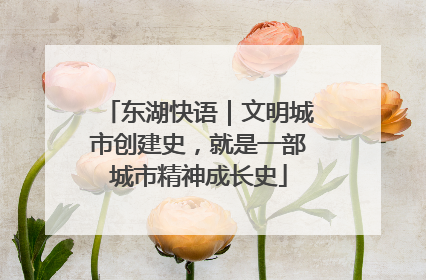 东湖快语｜文明城市创建史，就是一部城市精神成长史