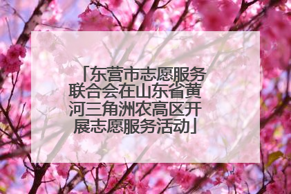 东营市志愿服务联合会在山东省黄河三角洲农高区开展志愿服务活动