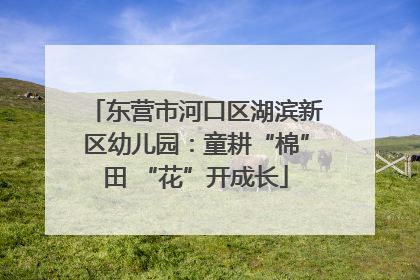东营市河口区湖滨新区幼儿园：童耕“棉”田 “花”开成长