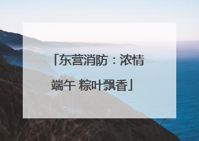 东营消防：浓情端午 粽叶飘香