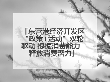 东营港经济开发区“政策+活动”双轮驱动 提振消费能力 释放消费潜力