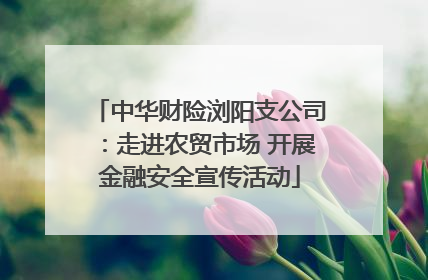 中华财险浏阳支公司：走进农贸市场 开展金融安全宣传活动