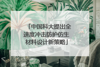 中国科大提出全速度冲击防护仿生材料设计新策略