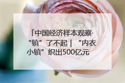 中国经济样本观察·“镇”了不起｜“内衣小镇”织出500亿元“里子产业”