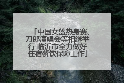 中国女篮热身赛、刀郎演唱会等相继举行 临沂市全力做好住宿餐饮保障工作