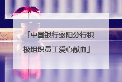 中国银行襄阳分行积极组织员工爱心献血
