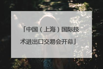 中国（上海）国际技术进出口交易会开幕