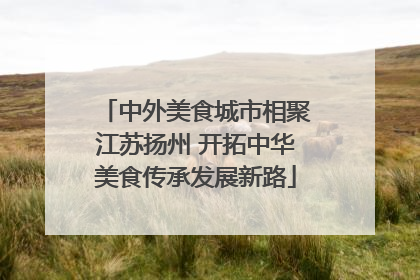 中外美食城市相聚江苏扬州 开拓中华美食传承发展新路