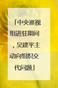 中央巡视组进驻期间，吴建平主动向组织交代问题