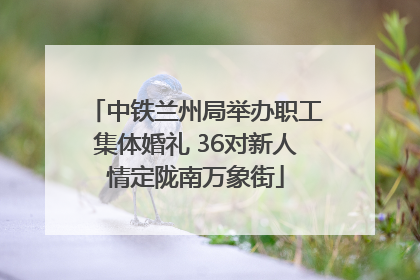 中铁兰州局举办职工集体婚礼 36对新人情定陇南万象街